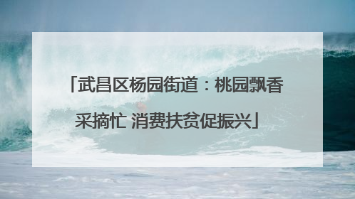 武昌区杨园街道：桃园飘香采摘忙 消费扶贫促振兴