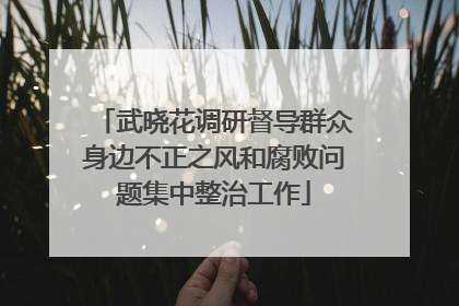 武晓花调研督导群众身边不正之风和腐败问题集中整治工作