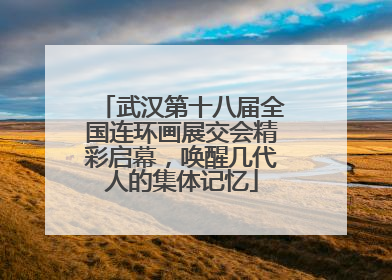 武汉第十八届全国连环画展交会精彩启幕，唤醒几代人的集体记忆
