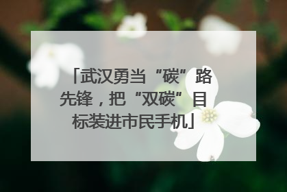 武汉勇当“碳”路先锋，把“双碳”目标装进市民手机