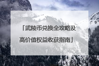 武陵币兑换全攻略及高价值权益收获指南