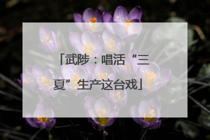 武陟：唱活“三夏”生产这台戏