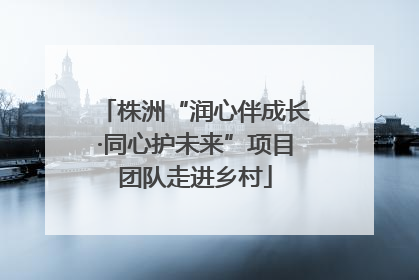 株洲“润心伴成长·同心护未来”项目团队走进乡村