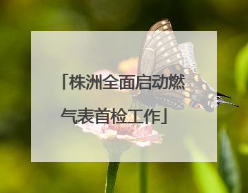 株洲全面启动燃气表首检工作