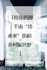 桂东四都：千亩“冷水米”托起乡村振兴梦