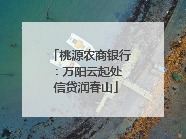 桃源农商银行：万阳云起处 信贷润春山