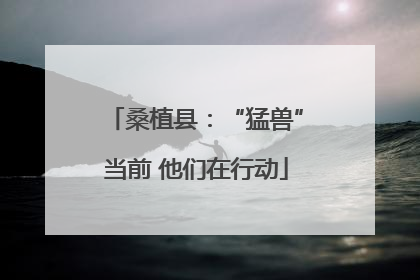 桑植县：“猛兽”当前 他们在行动
