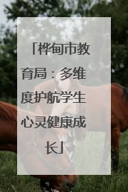桦甸市教育局：多维度护航学生心灵健康成长