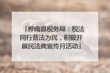桦南县税务局：税法同行普法为民，积极开展民法典宣传月活动