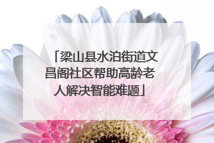 梁山县水泊街道文昌阁社区帮助高龄老人解决智能难题