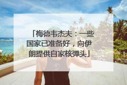 梅德韦杰夫：一些国家已准备好，向伊朗提供自家核弹头