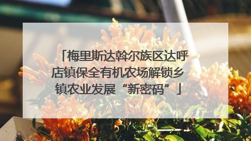 梅里斯达斡尔族区达呼店镇保全有机农场解锁乡镇农业发展“新密码”