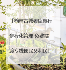 榆林古城老街施行步行化管理 免费摆渡专线便民又利民