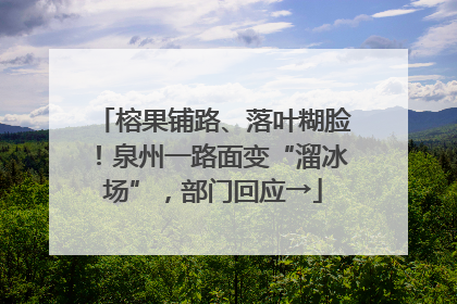 榕果铺路、落叶糊脸！泉州一路面变“溜冰场”，部门回应→