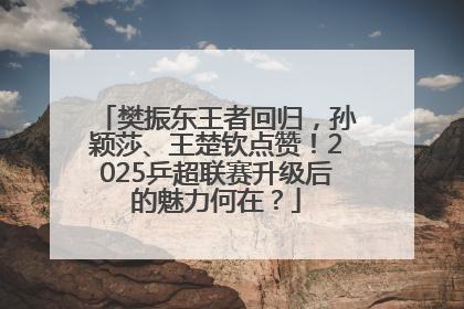 樊振东王者回归，孙颖莎、王楚钦点赞！2025乒超联赛升级后的魅力何在？