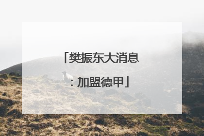 樊振东大消息：加盟德甲