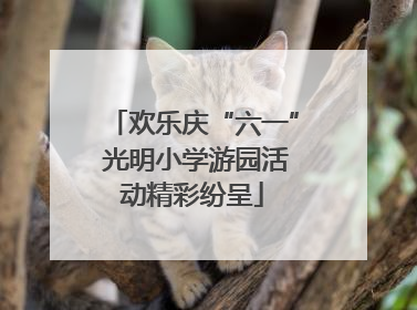 欢乐庆“六一” 光明小学游园活动精彩纷呈