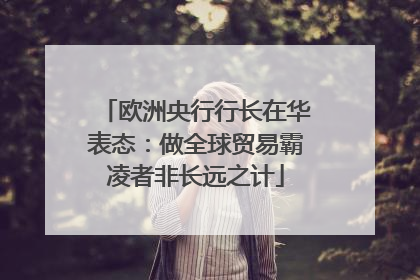 欧洲央行行长在华表态：做全球贸易霸凌者非长远之计