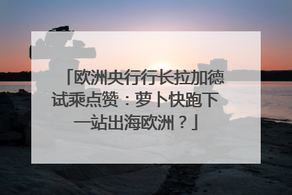 欧洲央行行长拉加德试乘点赞：萝卜快跑下一站出海欧洲？