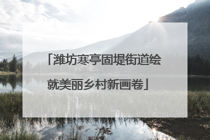 潍坊寒亭固堤街道绘就美丽乡村新画卷