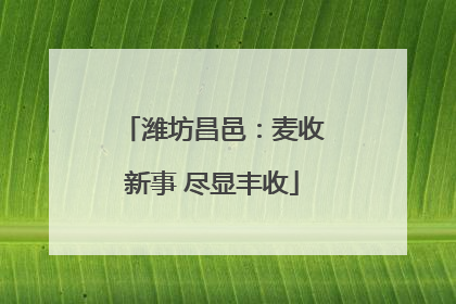 潍坊昌邑：麦收新事 尽显丰收
