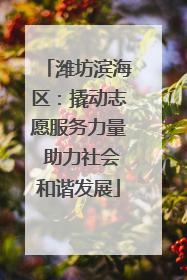 潍坊滨海区：撬动志愿服务力量 助力社会和谐发展