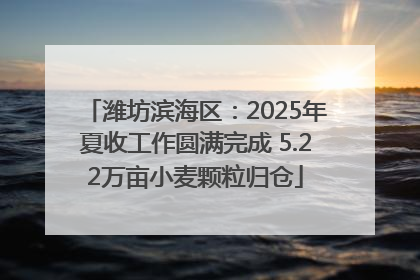 潍坊滨海区：2025年夏收工作圆满完成 5.22万亩小麦颗粒归仓