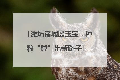 潍坊诸城殷玉宝：种粮“蹚”出新路子