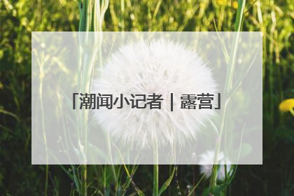 潮闻小记者｜露营