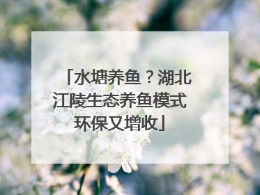 水塘养鱼？湖北江陵生态养鱼模式环保又增收