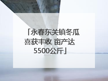 永春东关镇冬瓜喜获丰收 亩产达5500公斤