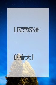 民营经济的春天