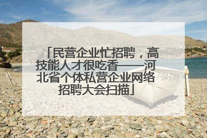 民营企业忙招聘，高技能人才很吃香——河北省个体私营企业网络招聘大会扫描