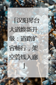 汉阳琴台大道焕新升级：道路扩容畅行，架空管线入廊