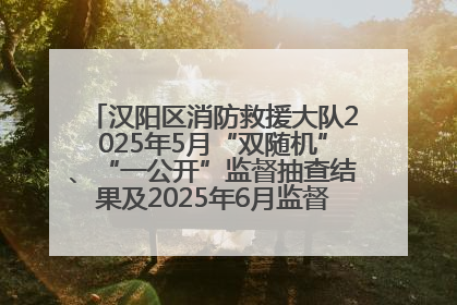 汉阳区消防救援大队2025年5月“双随机”、“一公开”监督抽查结果及2025年6月监督抽查任务公示