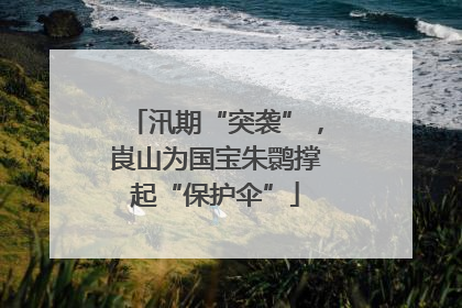 汛期“突袭”，崀山为国宝朱鹮撑起“保护伞”