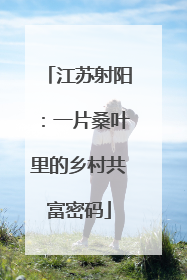 江苏射阳：一片桑叶里的乡村共富密码