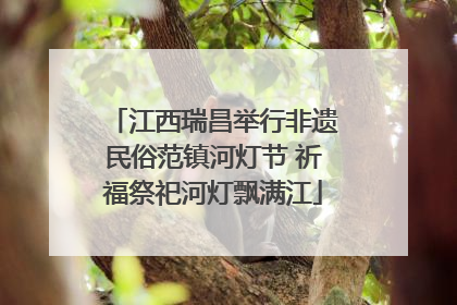 江西瑞昌举行非遗民俗范镇河灯节 祈福祭祀河灯飘满江