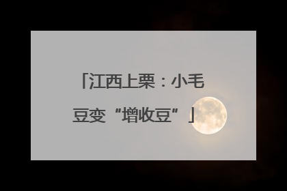 江西上栗：小毛豆变“增收豆”