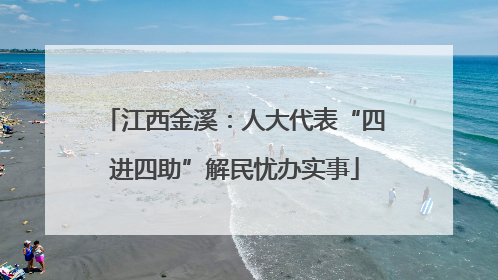 江西金溪：人大代表“四进四助”解民忧办实事