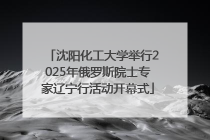 沈阳化工大学举行2025年俄罗斯院士专家辽宁行活动开幕式