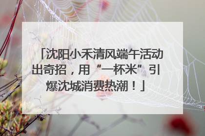 沈阳小禾清风端午活动出奇招，用“一杯米”引爆沈城消费热潮！