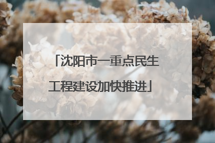 沈阳市一重点民生工程建设加快推进