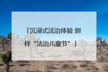 沉浸式法治体验 别样“法治儿童节”