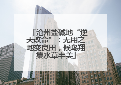 沧州盐碱地“逆天改命”：无用之地变良田，候鸟翔集水草丰美