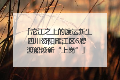 沱江之上的渡运新生 四川资阳雁江区6艘渡船焕新“上岗”