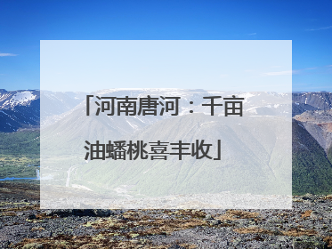 河南唐河：千亩油蟠桃喜丰收
