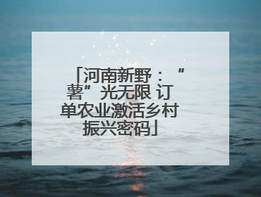 河南新野：“薯”光无限 订单农业激活乡村振兴密码