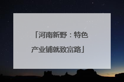 河南新野：特色产业铺就致富路