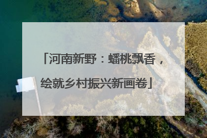 河南新野：蟠桃飘香，绘就乡村振兴新画卷